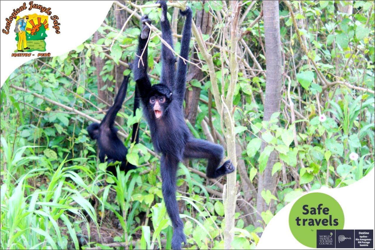 A&T Amazon Backpacker'S Bed & Breakfast Iquitos Dış mekan fotoğraf
