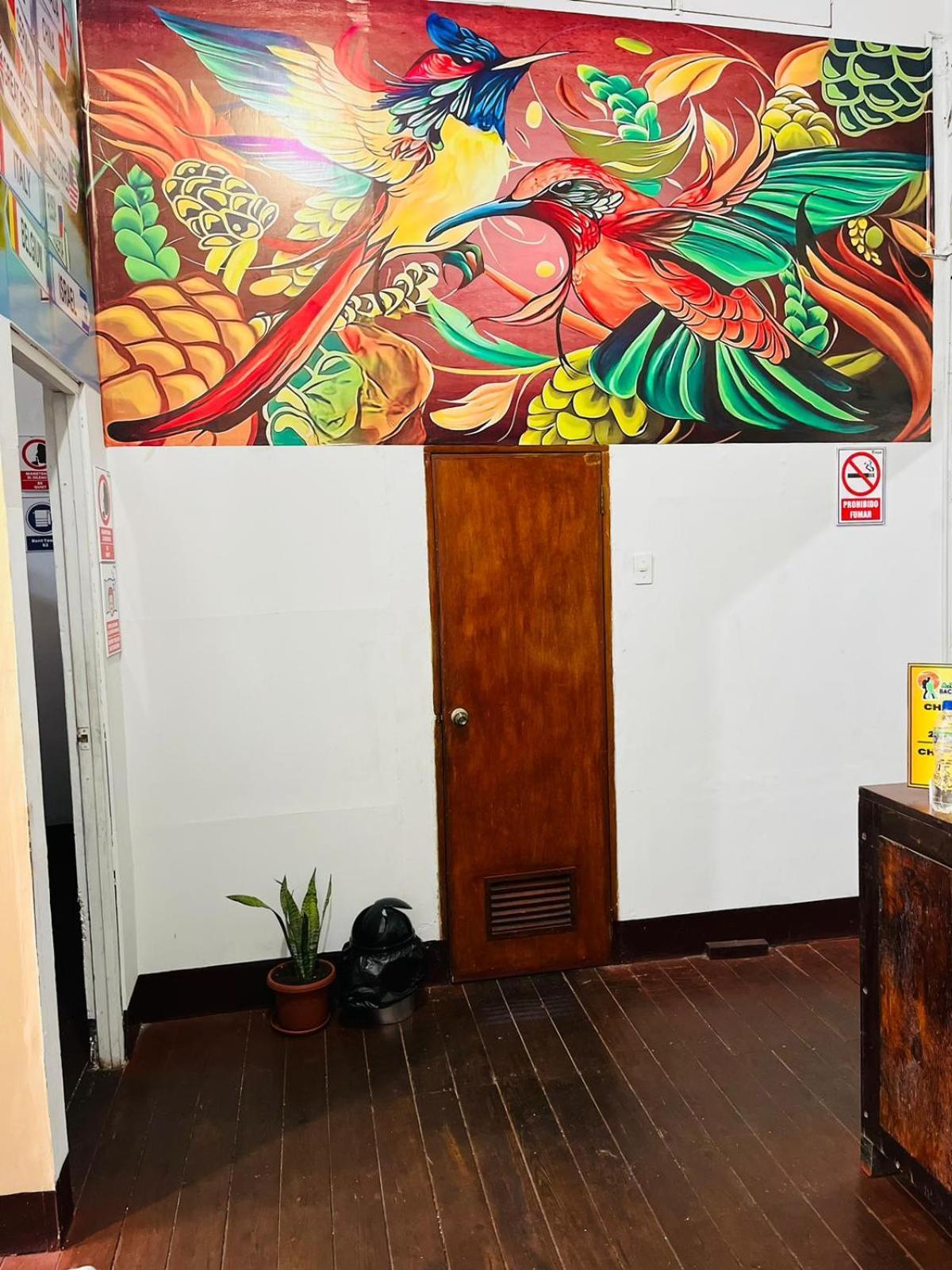 A&T Amazon Backpacker'S Bed & Breakfast Iquitos Dış mekan fotoğraf